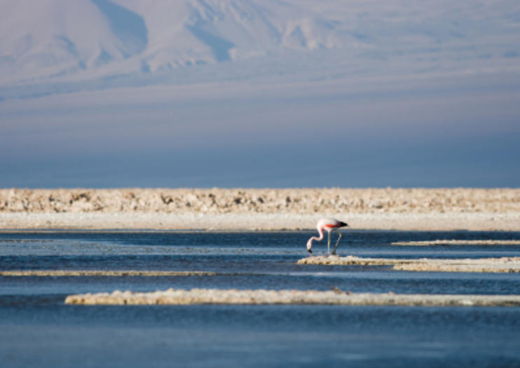 Atacama Salt Flats (Salar de Atacama)